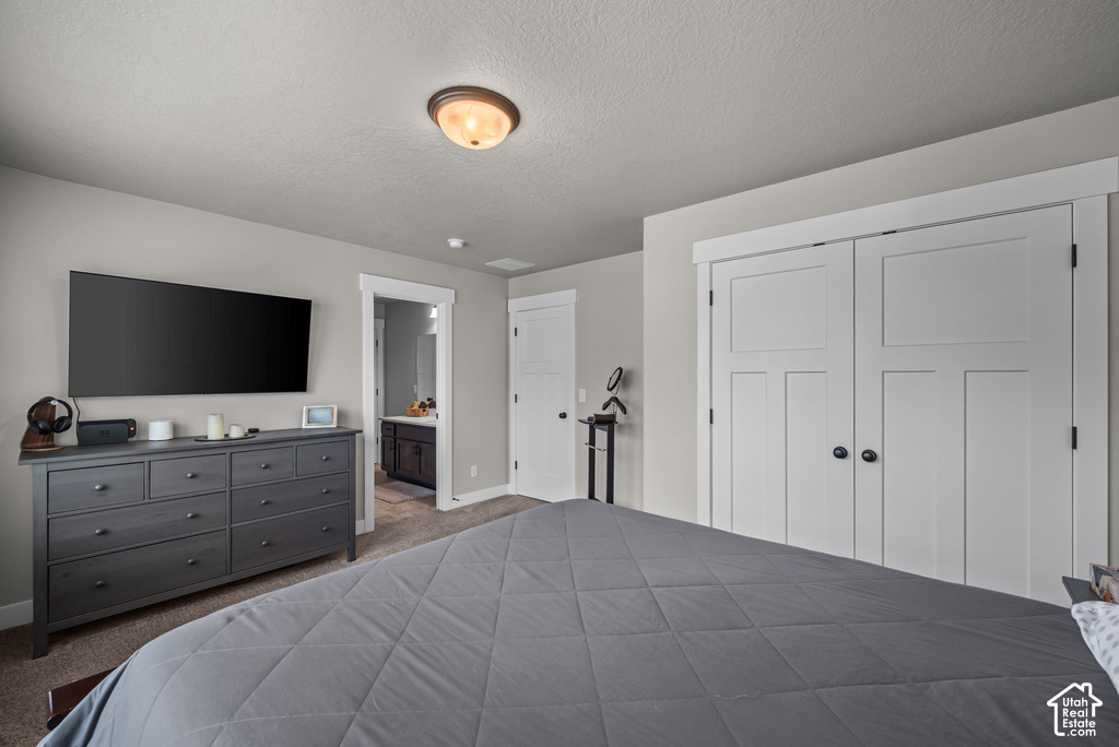 Bedroom with light gray walls, plush carpet flooring, a ceiling-mounted light fixture, and white bi-fold closet doors with black hardware