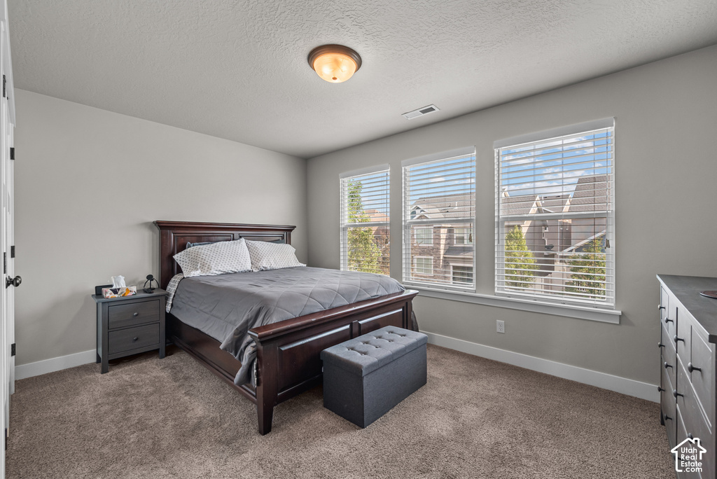 Carpeted room with a dark wood bed frame, light gray walls, and three windows featuring horizontal blinds