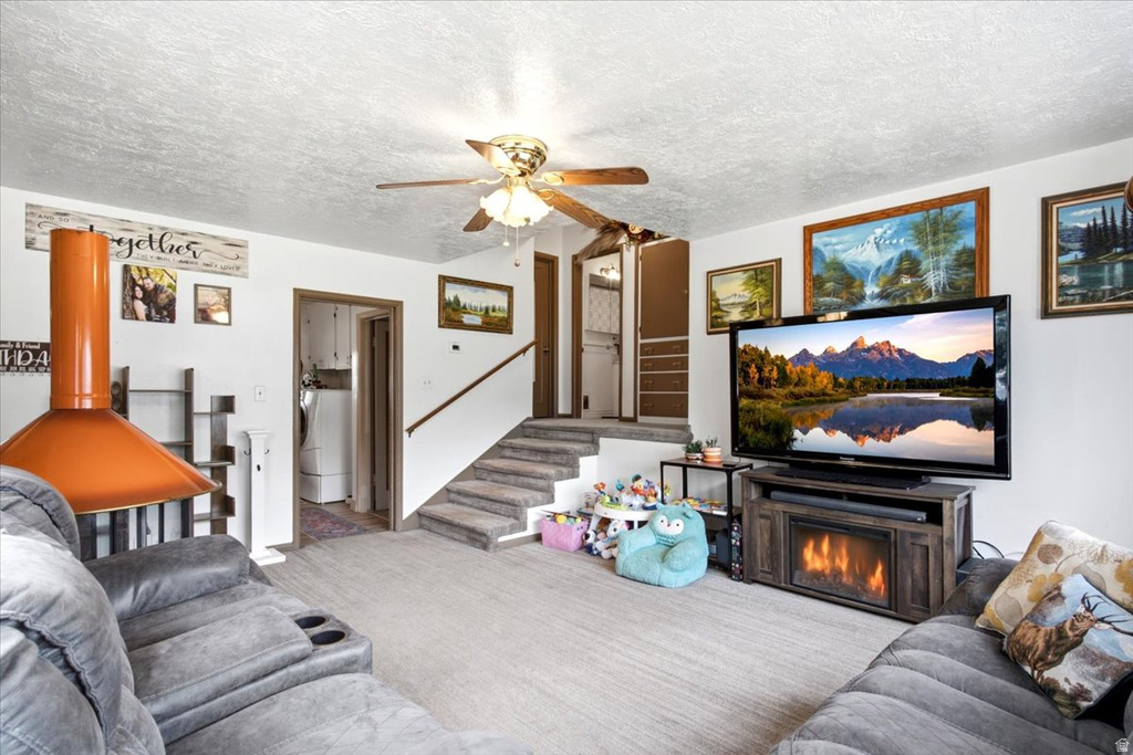 347 HARRISVILLE RD. photo 5