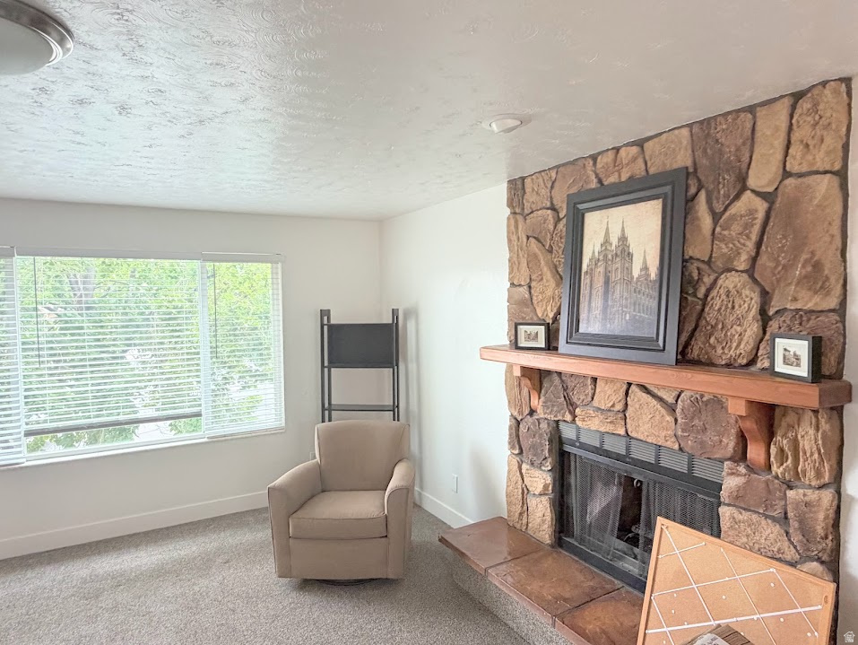 10753 S 895 E photo 5
