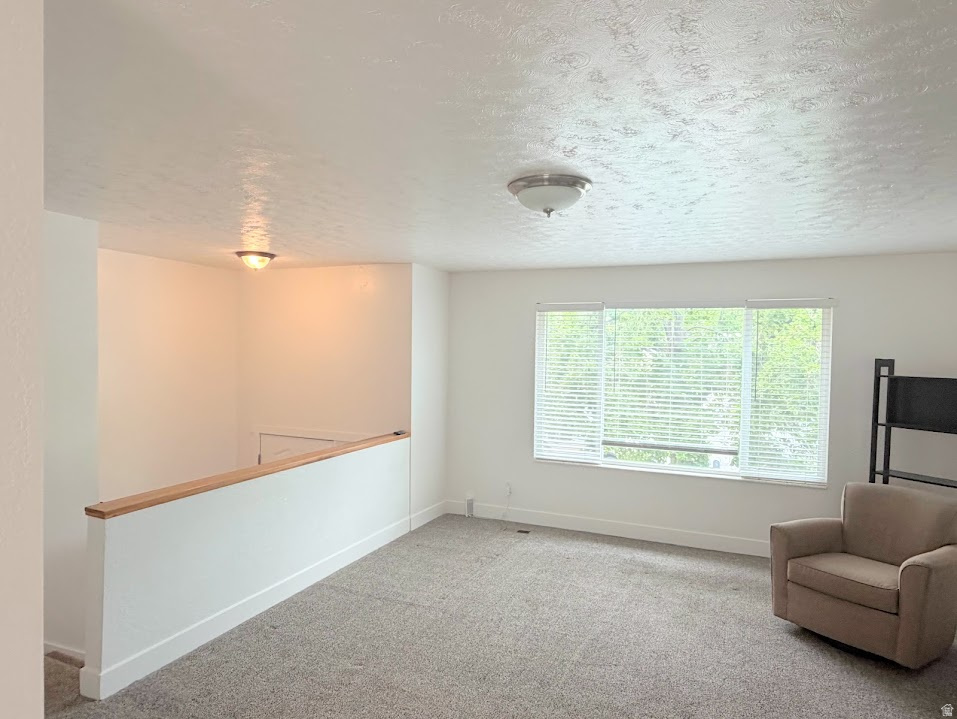 10753 S 895 E photo 4