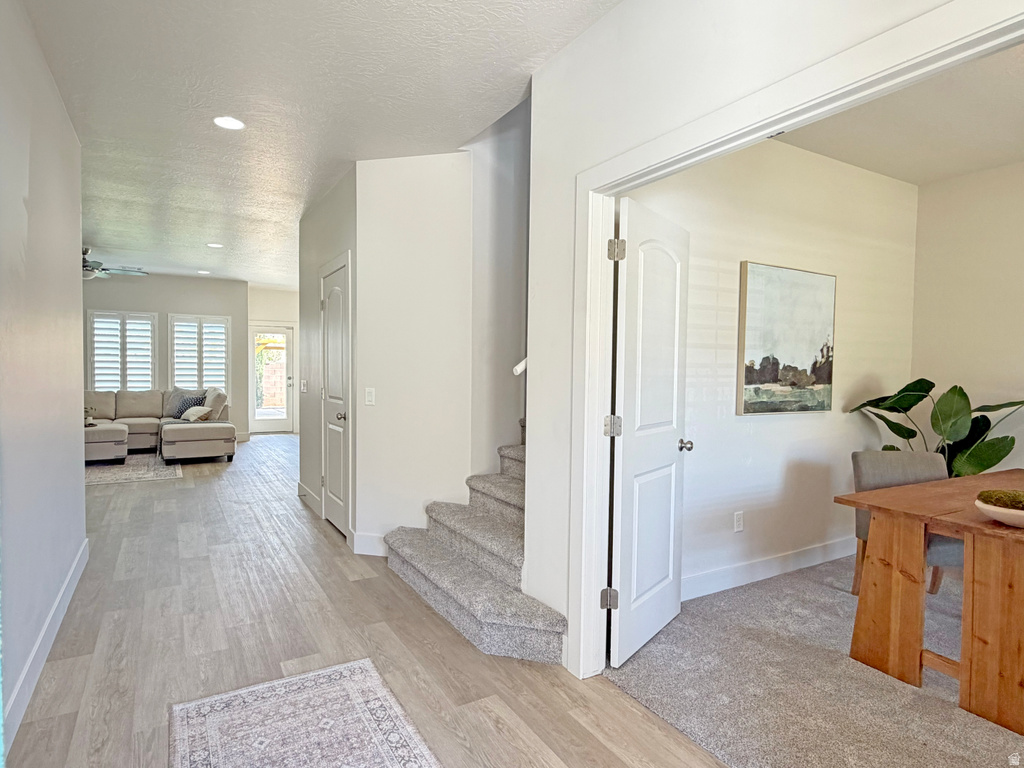 3165 E MAPLE DR photo 4