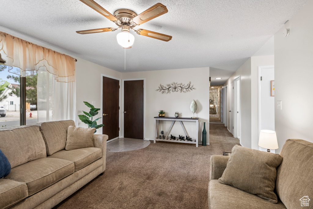 13333 S 2900 W photo 5