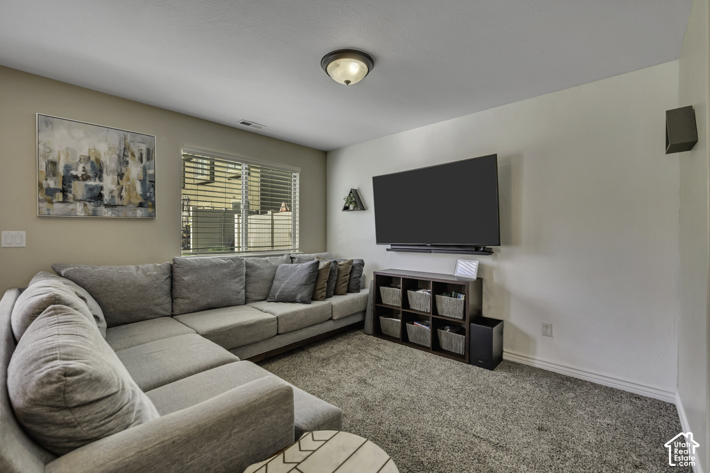 Carpeted living area featuring a large window with horizontal blinds, neutral wall paint, and a flush mount ceiling light fixture