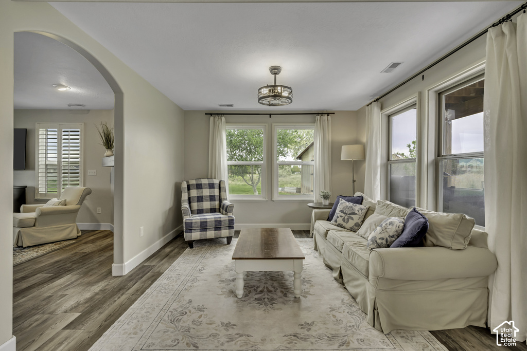 Living area featuring wood-finish flooring, a decorative area rug, and multiple windows with white trim