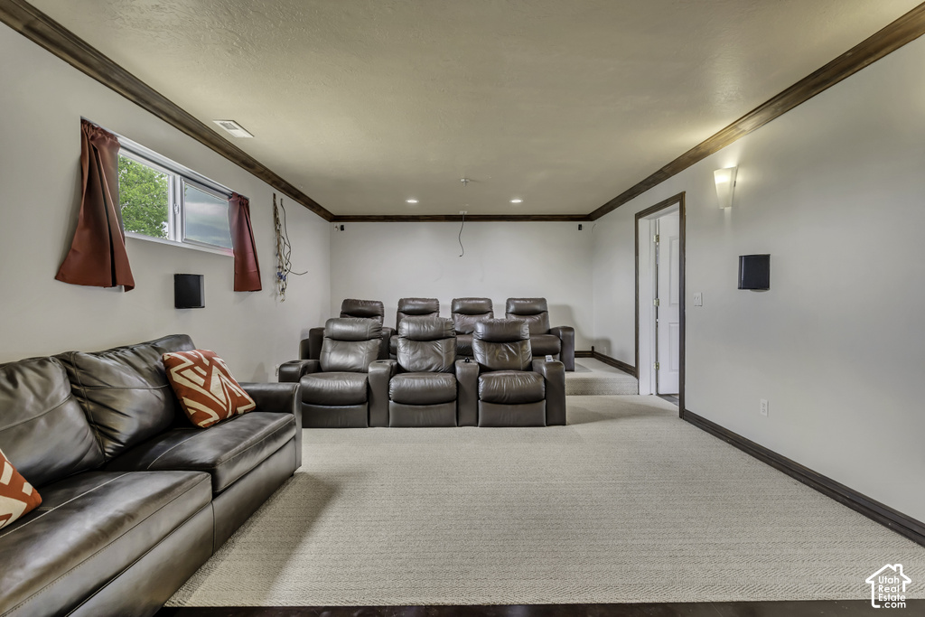 Dedicated media room featuring tiered seating, plush carpet flooring, and accent lighting