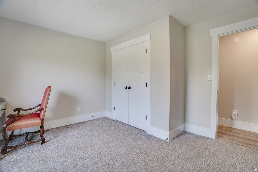 Carpeted room featuring white panel doors, black hardware, and light-toned walls
