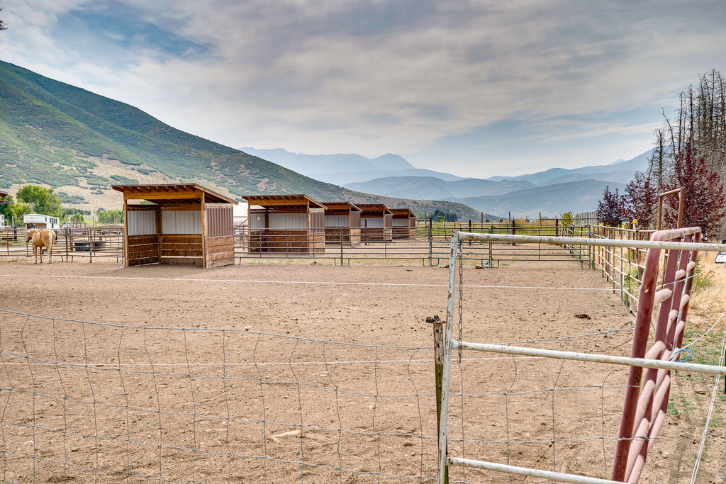Multiple fenced paddocks with wood-sided shelters