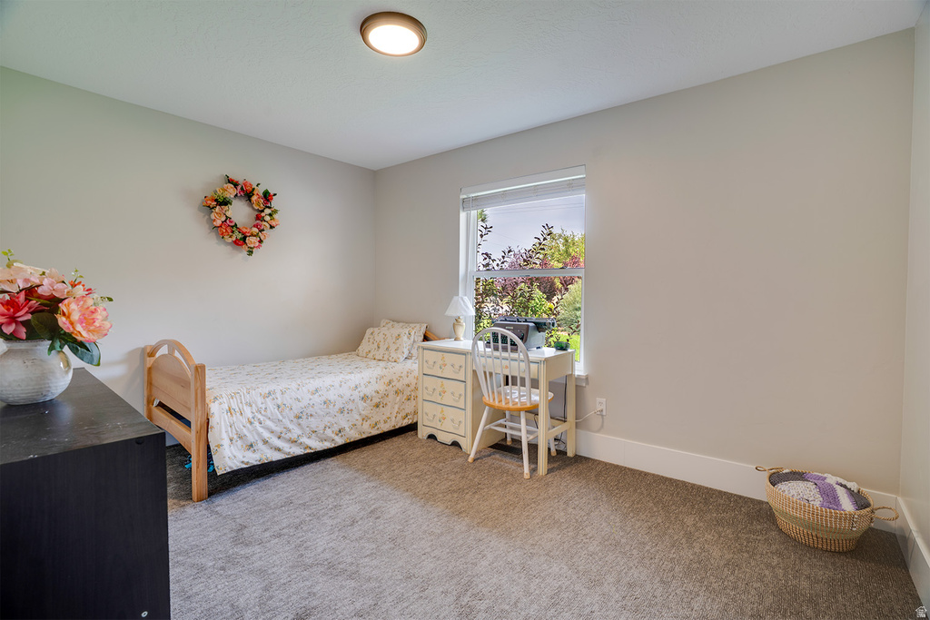 Neutral wall color with a window providing natural light, complemented by a flush-mount ceiling light