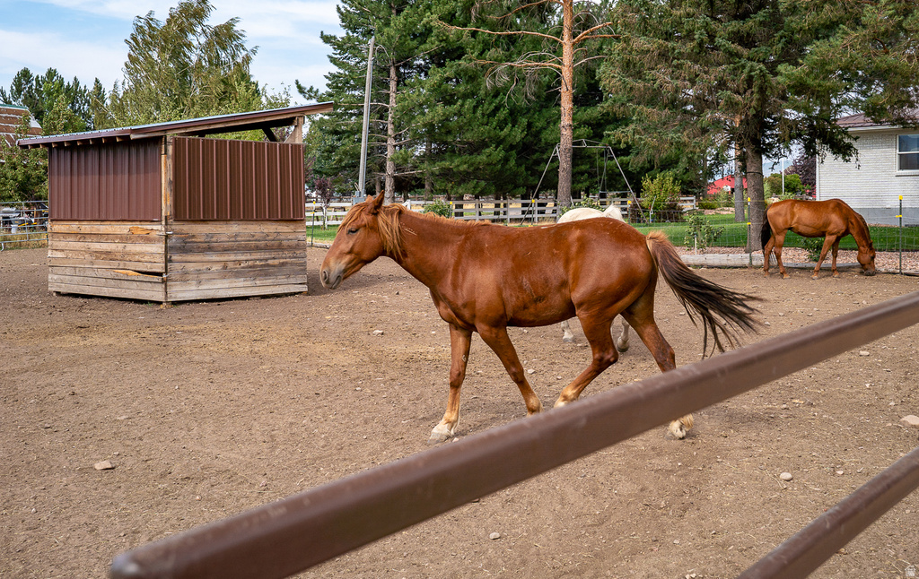 Outdoor corral featuring a wood-sided shelter with a metal roof