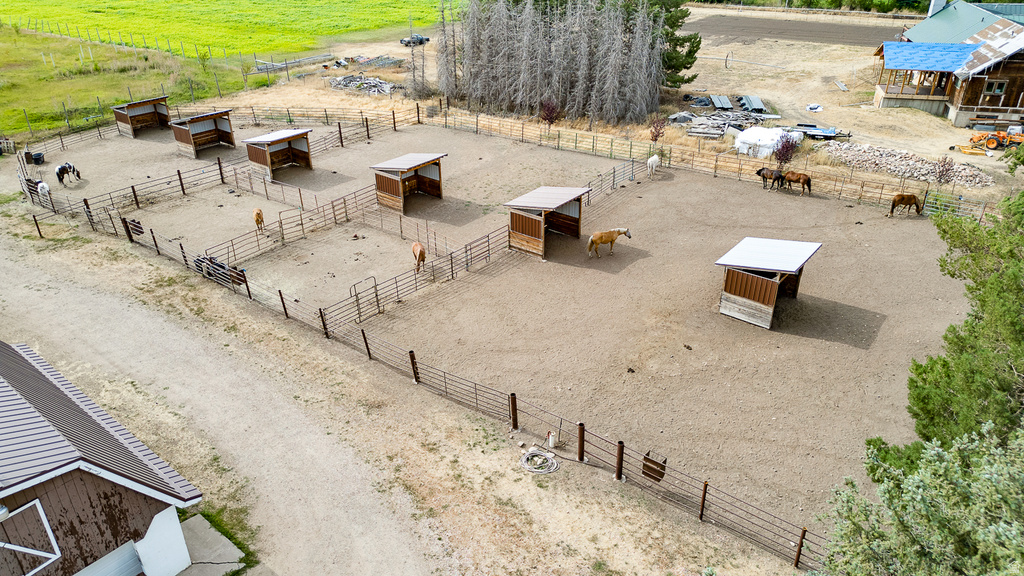 Expansive equestrian facility featuring multiple fenced paddocks with individual shelters