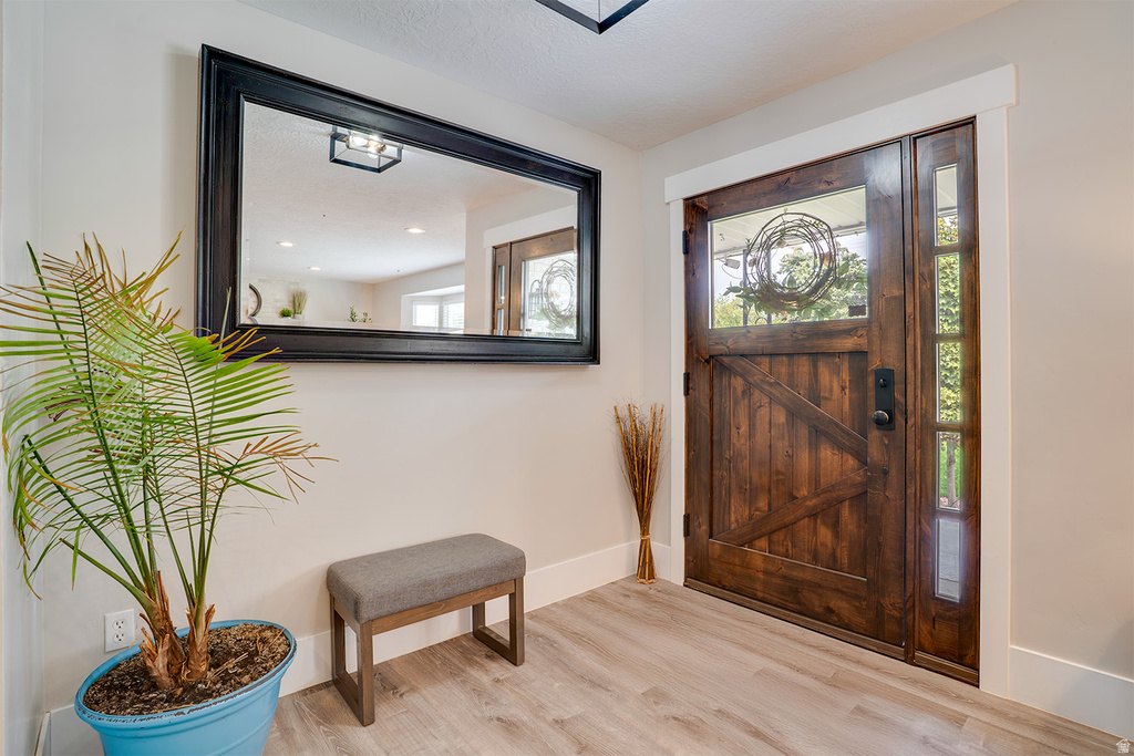 Entryway featuring a dark wood barn door style entry door with frosted glass, a full-length sidelight, and wood-finish flooring