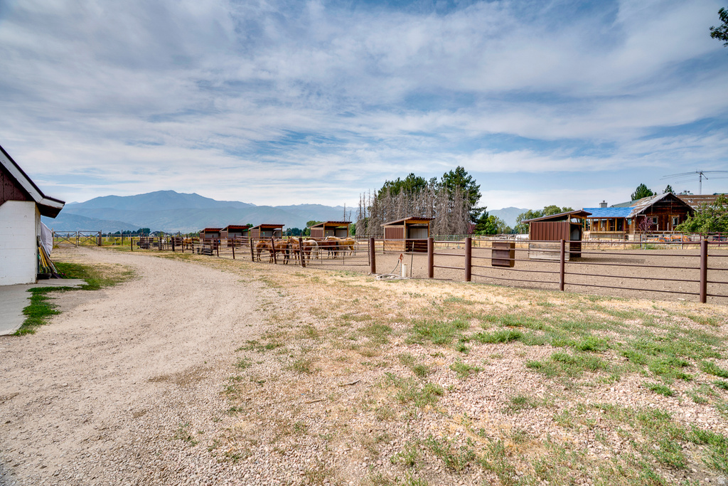 Expansive outdoor property featuring a gravel drive, multiple fenced enclosures, and several shelters