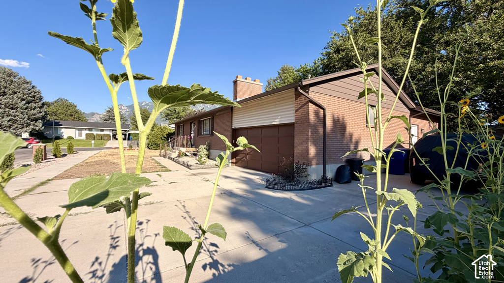 1236 E VIOLET S DR photo 2