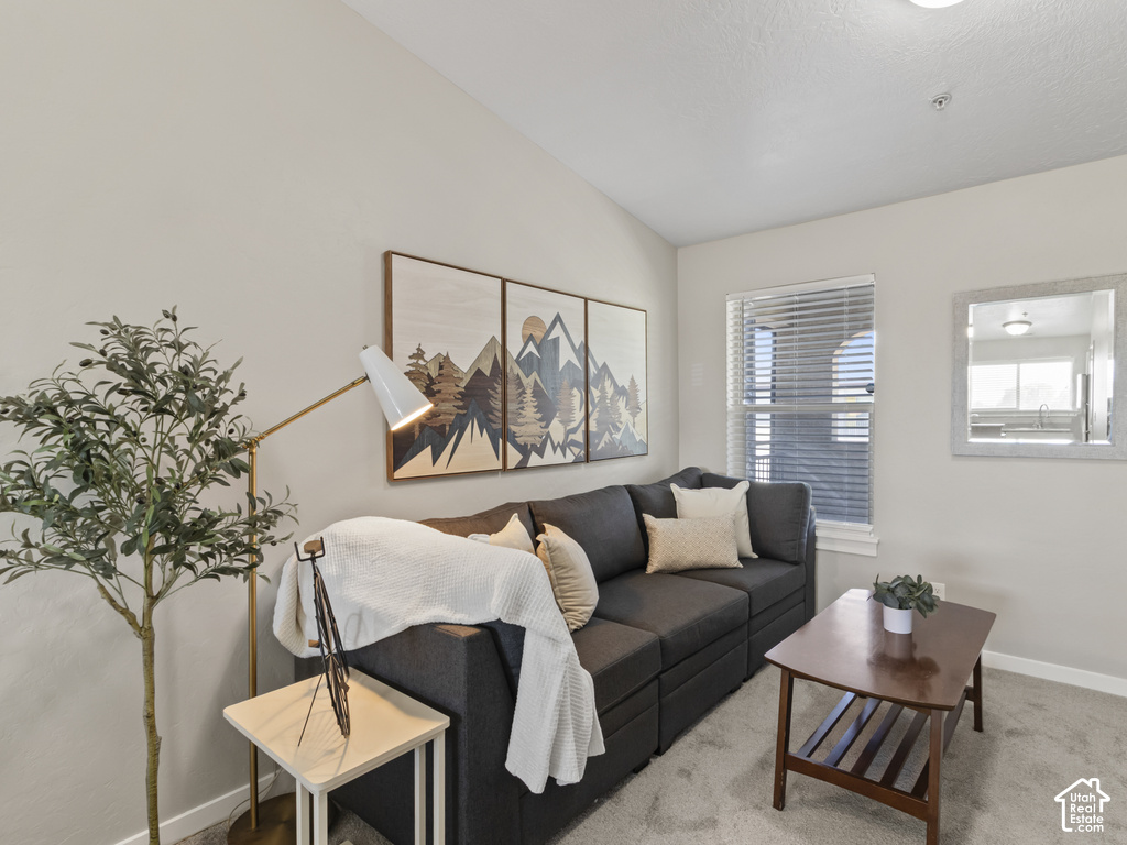 Living area with high vaulted ceilings