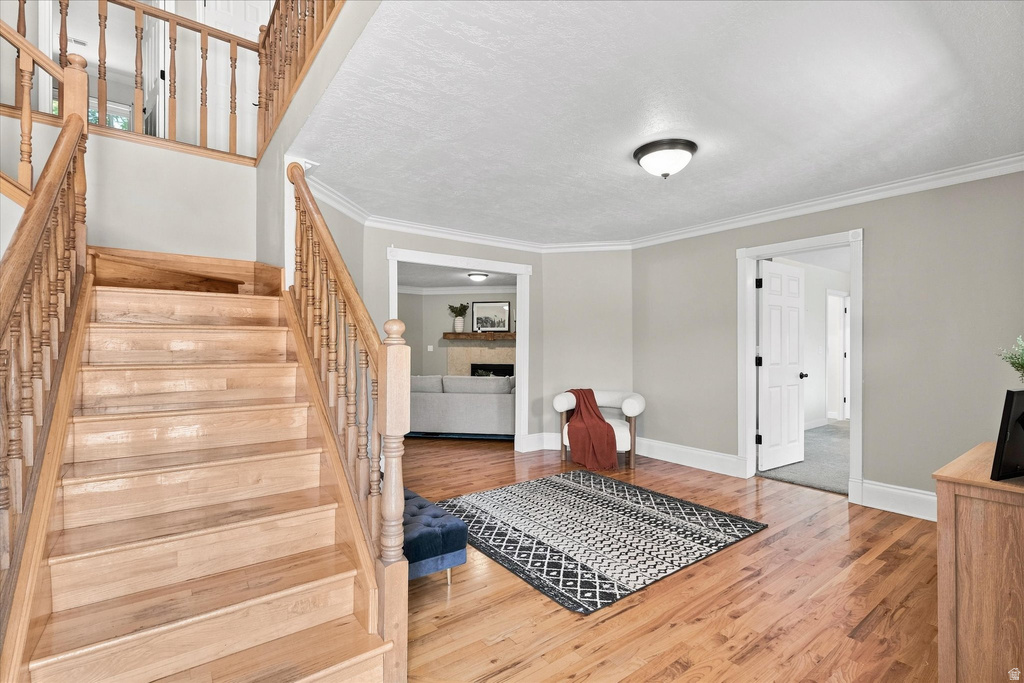 3923 HILLSIDE DR photo 3