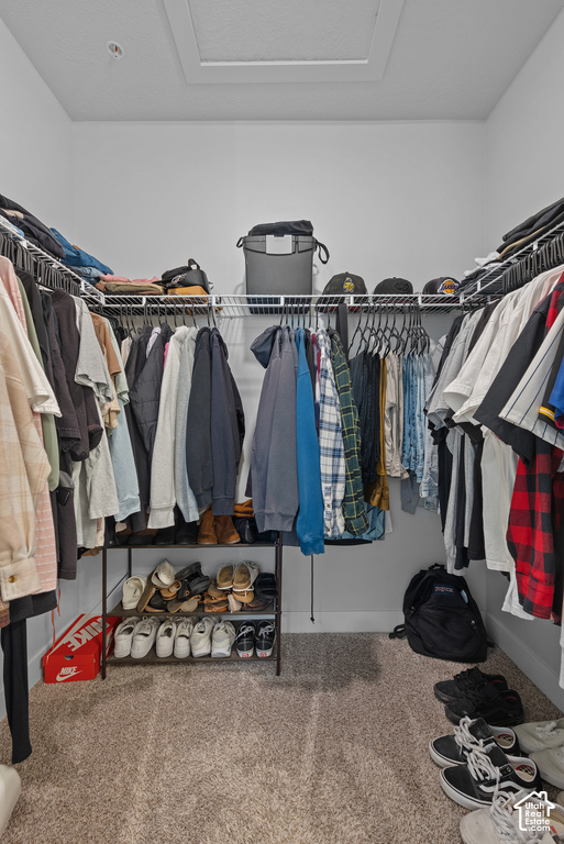 Spacious walk-in closet featuring dual clothing rods with extensive hanging capacity, built-in shelving with storage containers, carpeted flooring, recessed ceiling lighting, and dedicated shoe storage at floor level