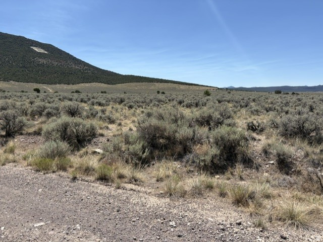 Beaver, UT 84713