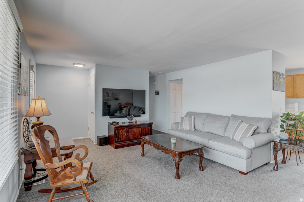 834 E SILVER SHADOWS DR photo 3