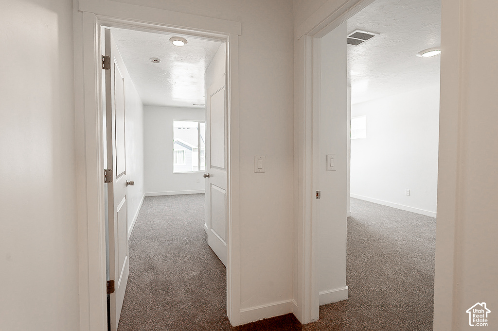 Bright hallway featuring clean white walls, recessed ceiling lighting, and neutral carpet flooring throughout
