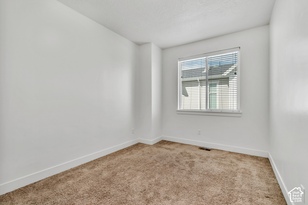 Neutral wall tones, plush brown carpeting, and a window with blinds