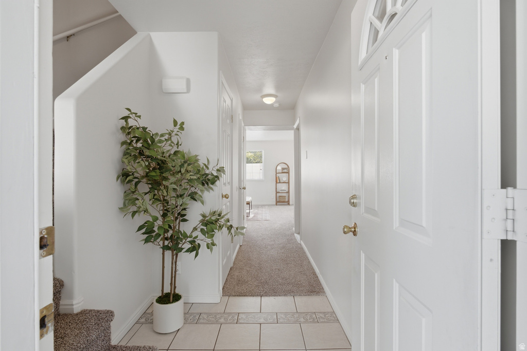 6983 S UFIZZI CT photo 4