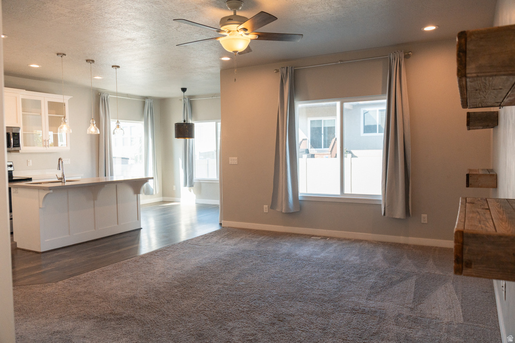 12038 S EL CAPITAN LN photo 3