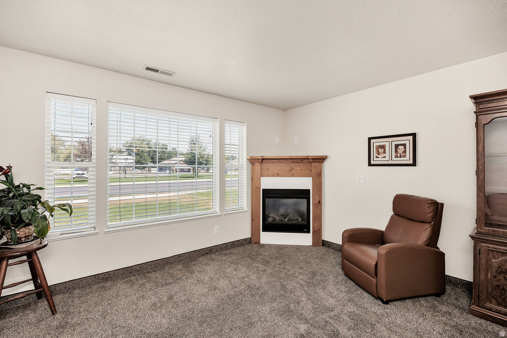 262 W 60 S photo 4