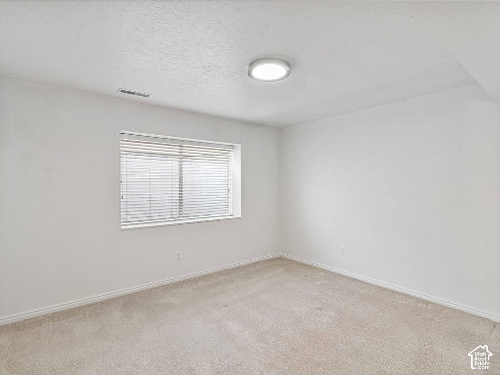 Neutral carpet flooring
