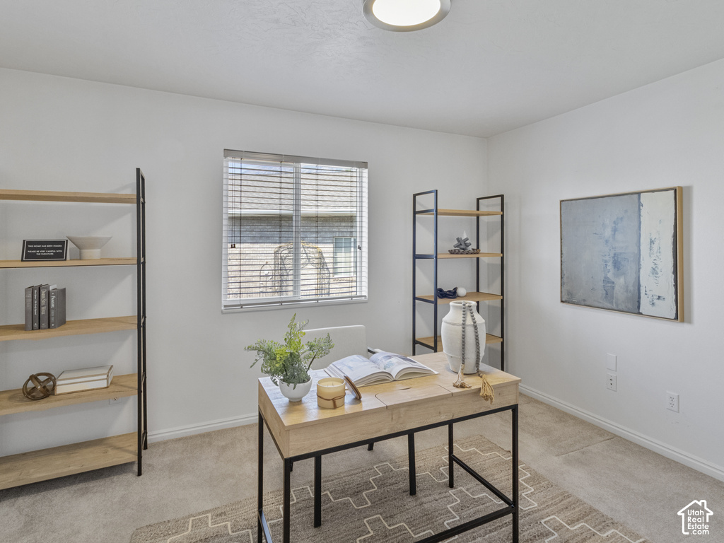 Neutral wall color, carpeted flooring, window with horizontal blinds, overhead light fixture