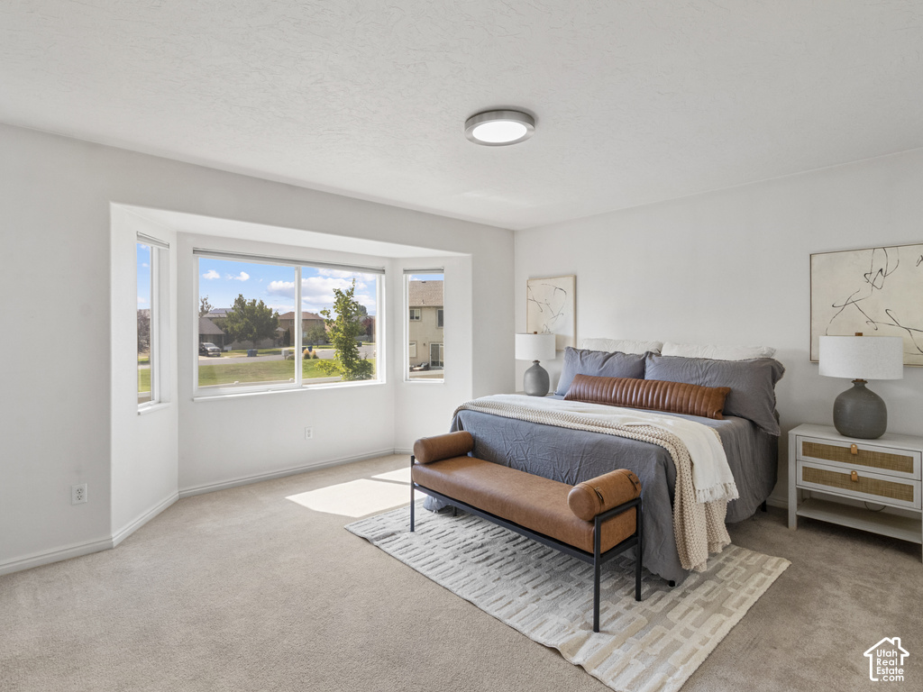 Recessed bay window, light-colored carpet, ceiling-mounted light fixture, white walls, and white trim