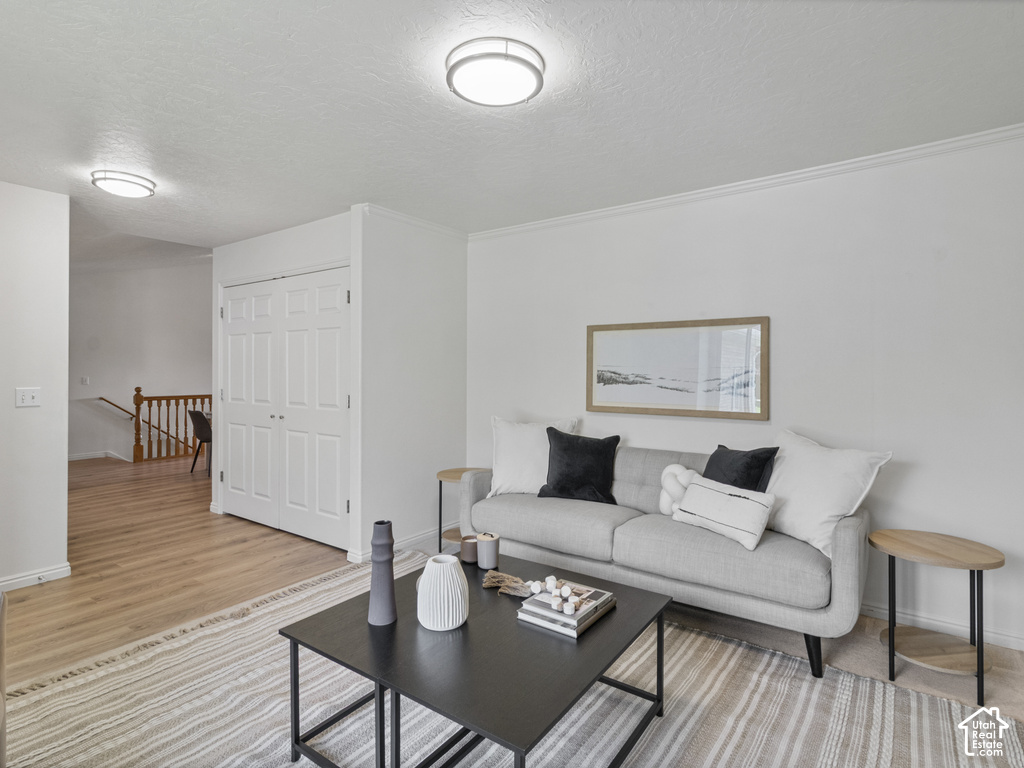 Recessed lighting, wood-finish flooring, white walls, and crown molding