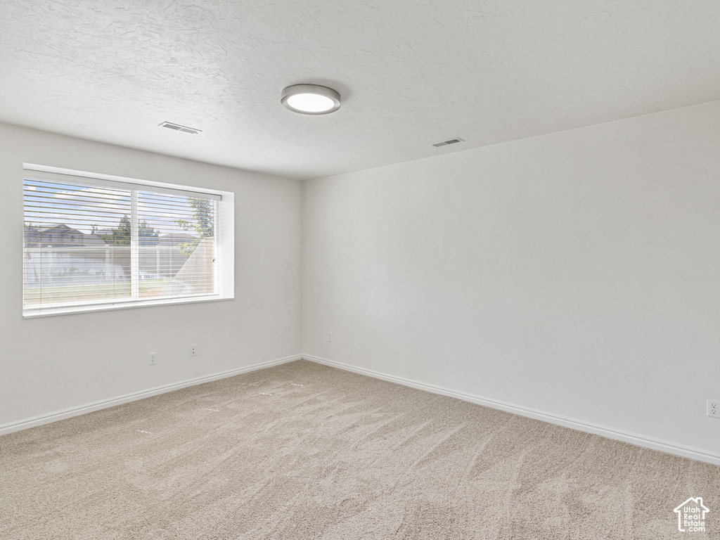 Neutral-toned carpeting, white walls, a large window with blinds, and a flush-mount ceiling light
