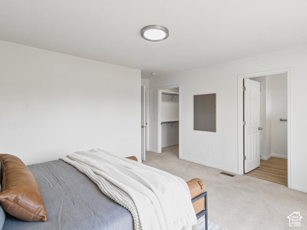 Carpeted room with white walls, a flush-mount ceiling light, and a walk-in closet with built-in shelving