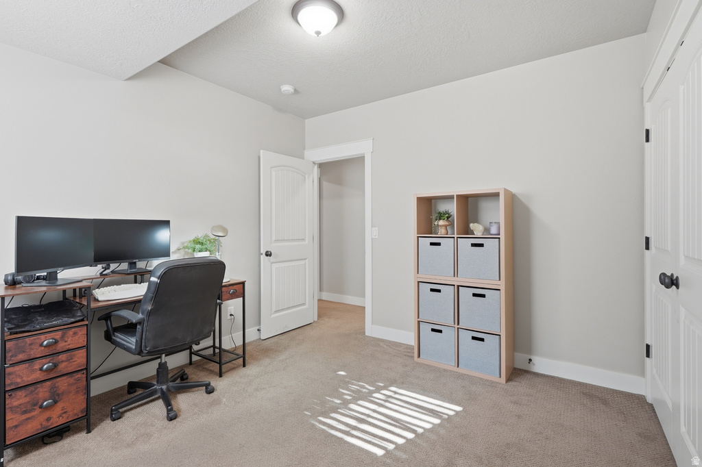 Neutral wall paint, plush carpeting, white trim, and a white interior door with black hardware