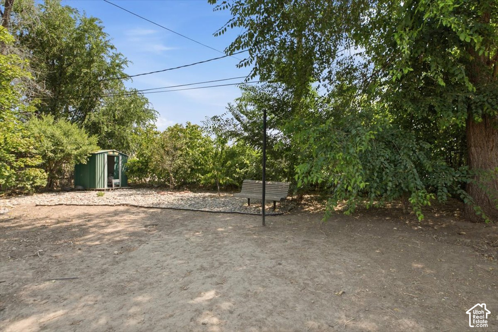 Expansive outdoor space featuring a green storage shed, mature trees, and a wooden bench