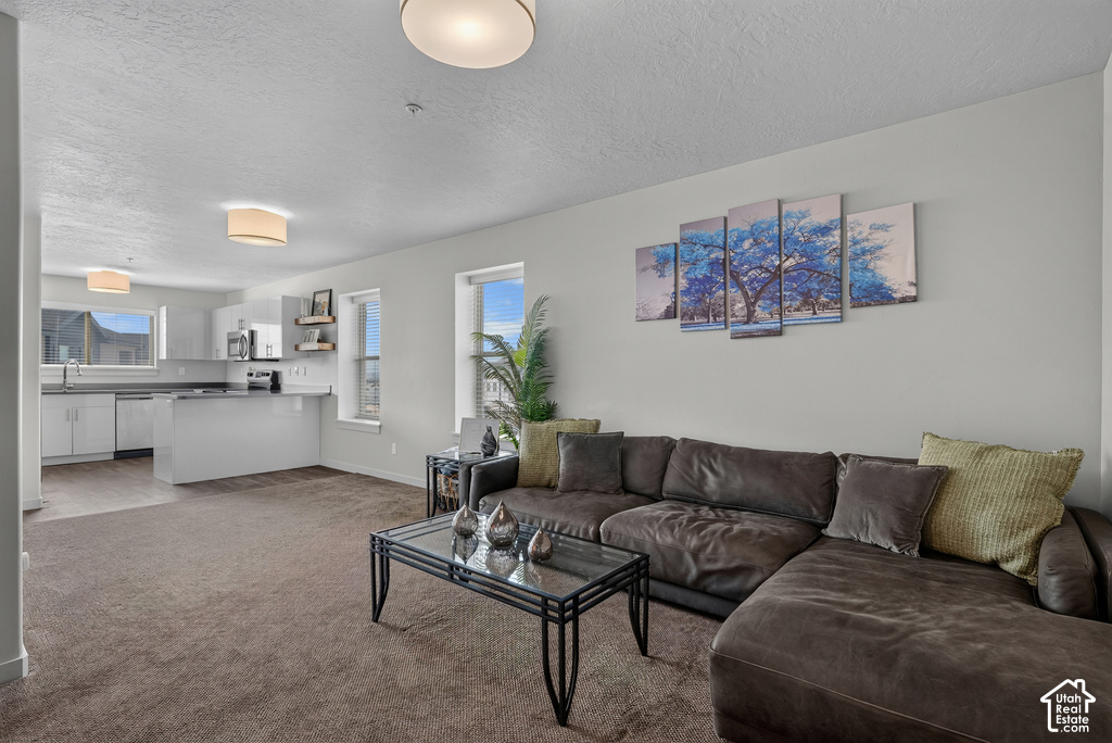 1141 E 1320 S photo 5