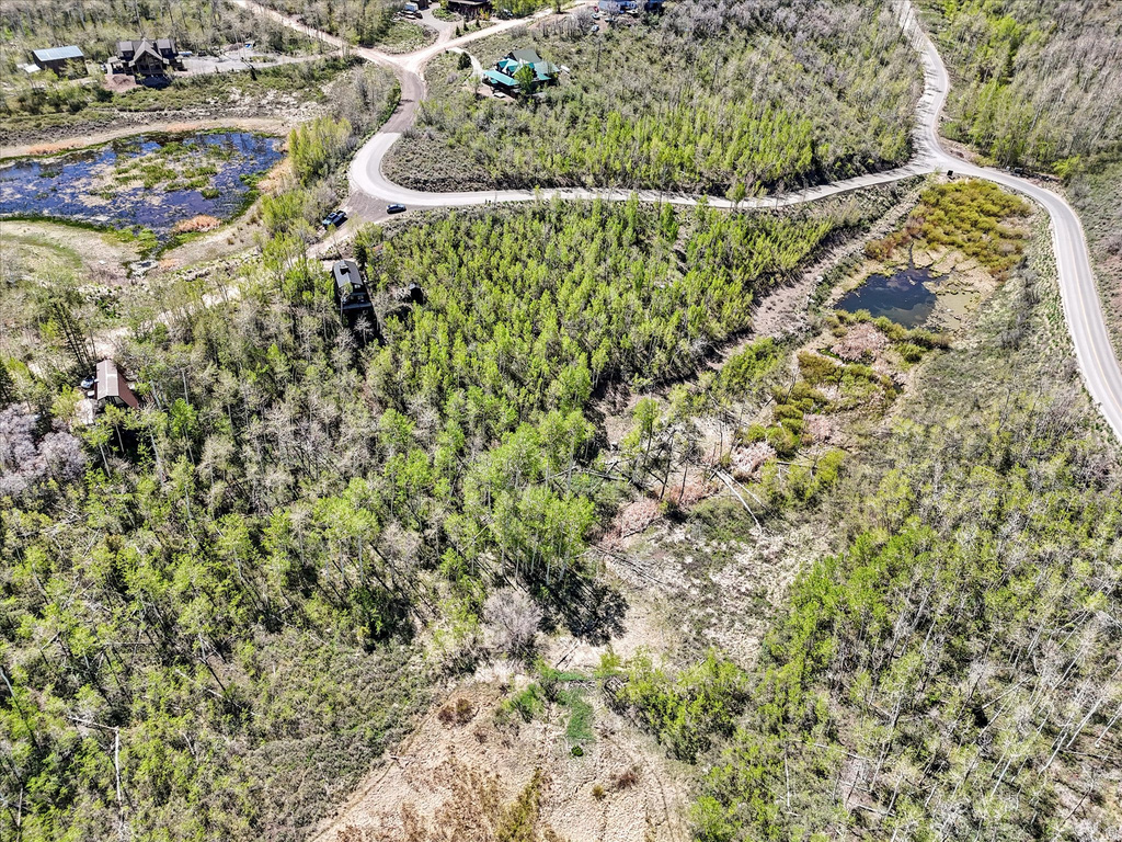 10445 E LAKE DR photo 5