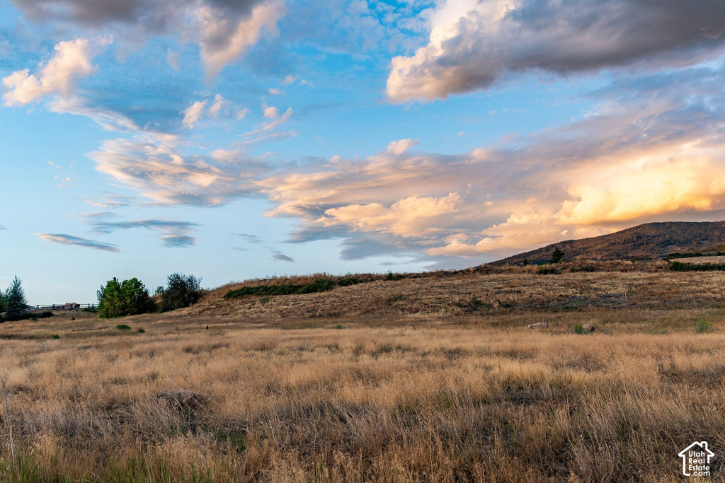 Expansive natural landscape featuring a gently sloping hill and scattered trees