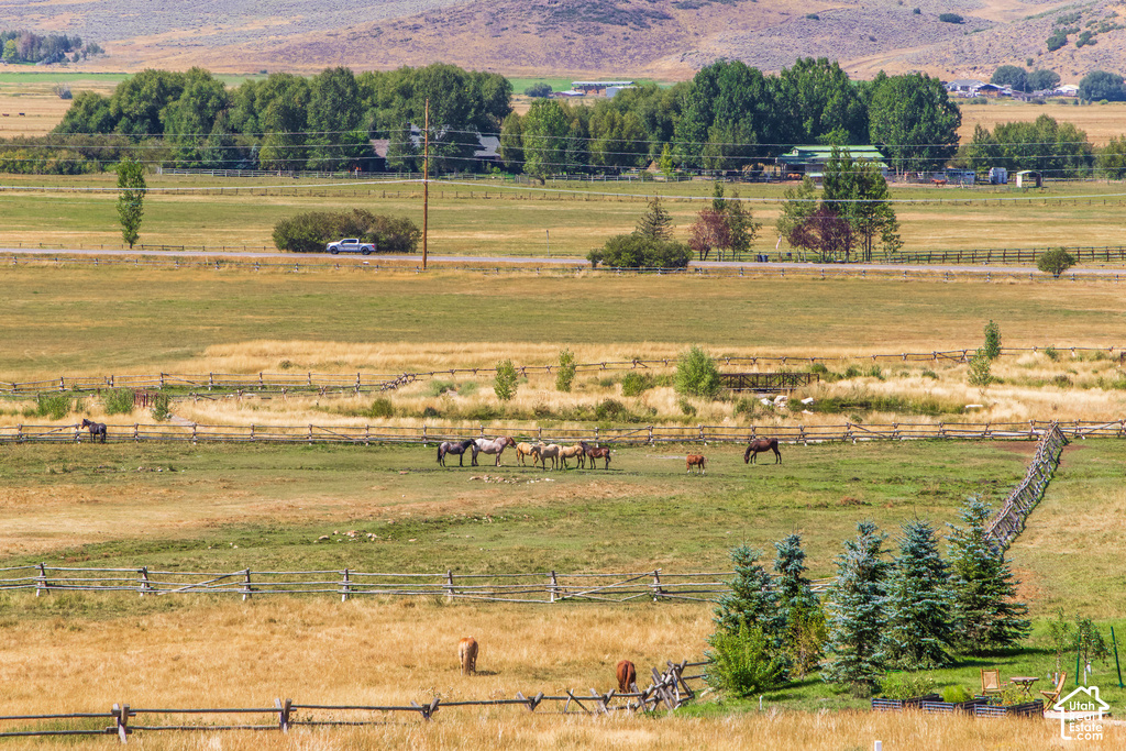 Expansive rural landscape featuring a mix of golden and green fields, post-and-rail fencing, scattered evergreen trees, and distant natural terrain