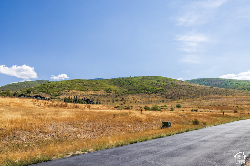 Paved road bordering an expansive open field, featuring a distant mountainous landscape with natural vegetation