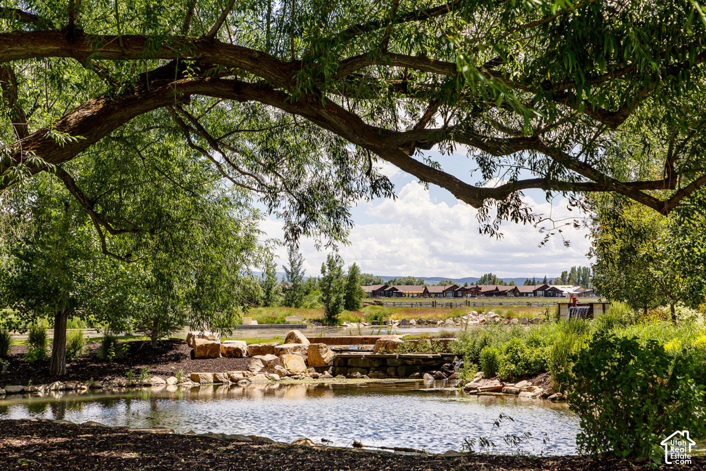 Mature trees providing natural shade, a serene water feature, and strategically placed stone elements