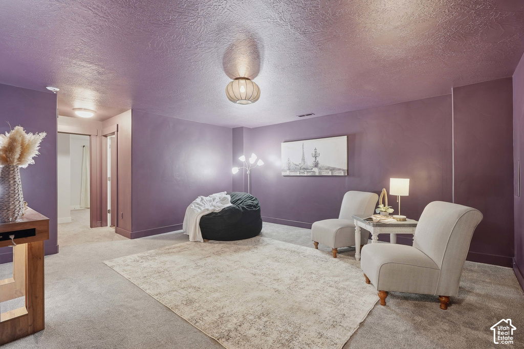 Carpeted flooring with a textured ceiling, painted walls, and built-in ceiling lighting