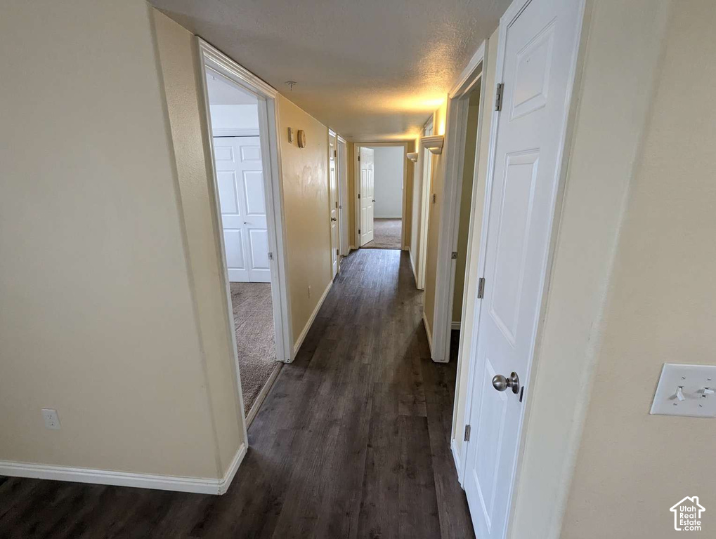 Hallway featuring wood-finish flooring, light-toned walls, white trim, and paneled doors