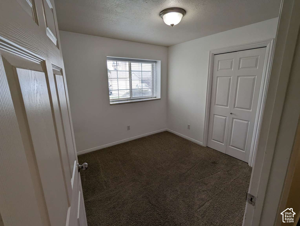 Wall-to-wall carpeting, window with horizontal blinds, built-in bi-fold closet, and ceiling-mounted light fixture