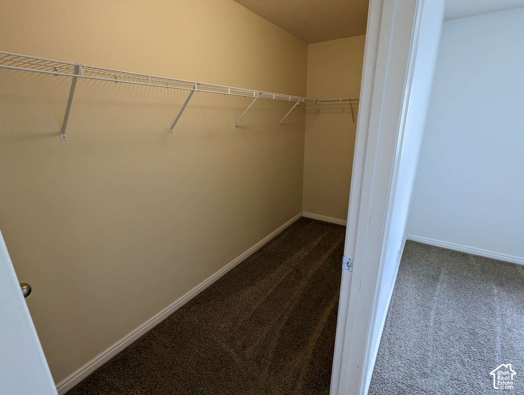 Wall-mounted wire shelving system and neutral carpeting