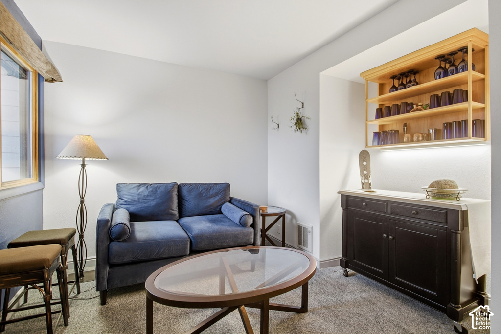 Built-in shelving with integrated lighting, wood-finish window trim, carpet flooring, and white painted walls