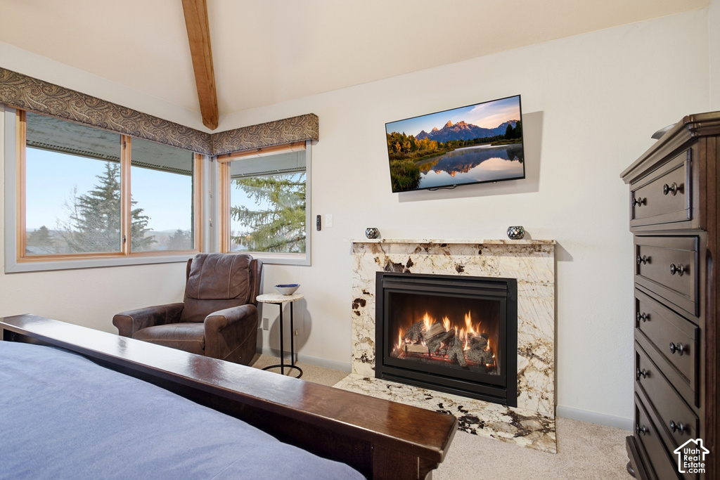 Fireplace with a stone surround, wall-mounted television, and wood-framed windows