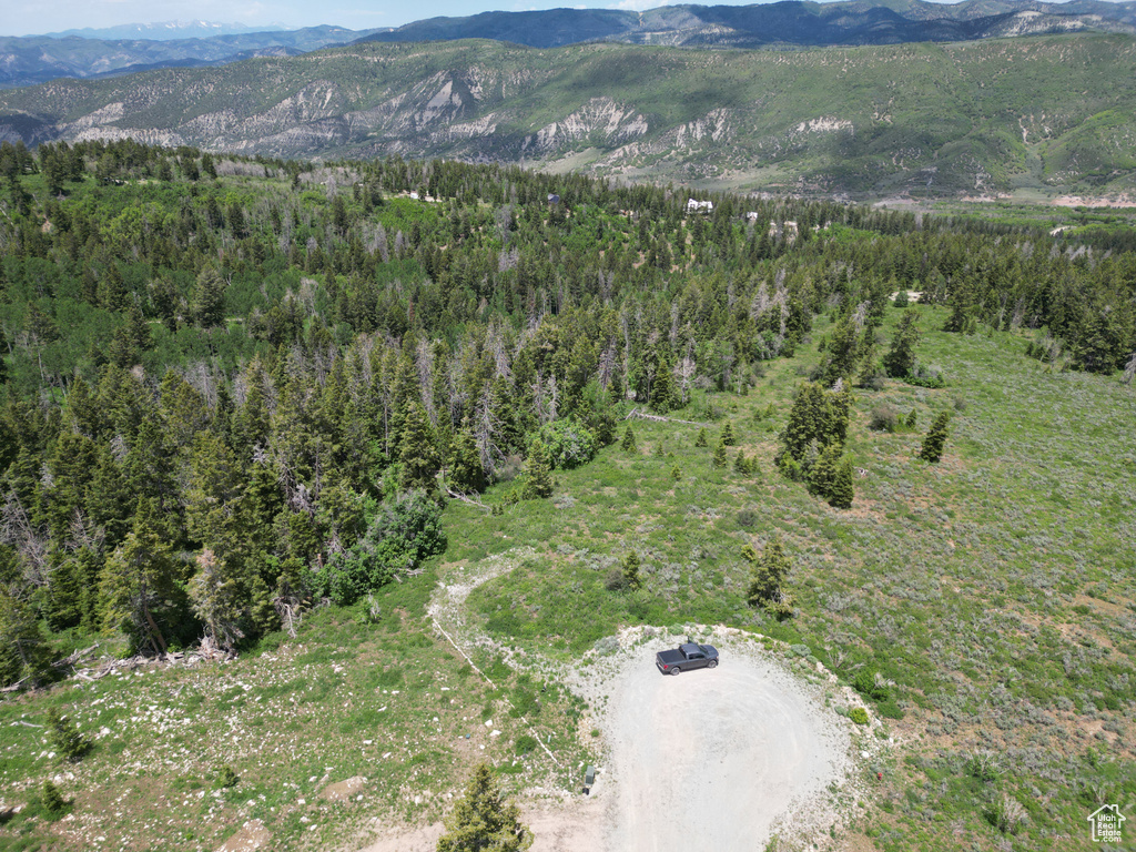 View photos for 17528 S Wolf Creek Cir 17528 S Wolf Creek Cir