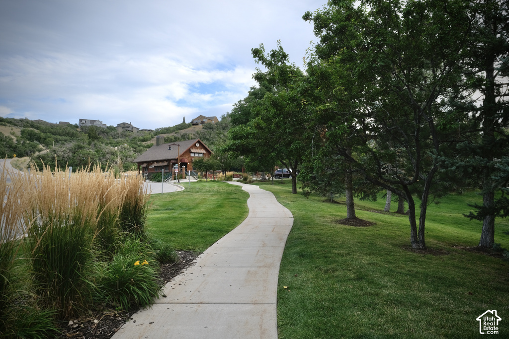 Curved concrete pathway bordered by manicured lawn and mature trees